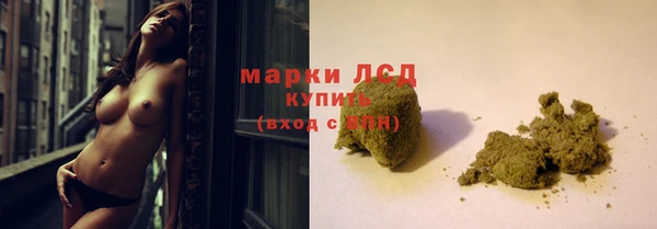спайс Верея