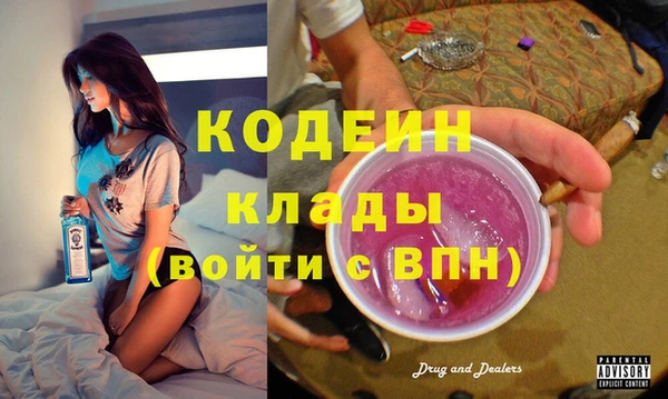 прущий лед Анива