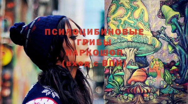 ГАЛЛЮЦИНОГЕННЫЕ ГРИБЫ Верхнеуральск