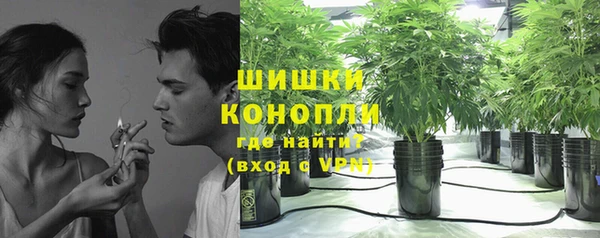 ГАЛЛЮЦИНОГЕННЫЕ ГРИБЫ Верхнеуральск